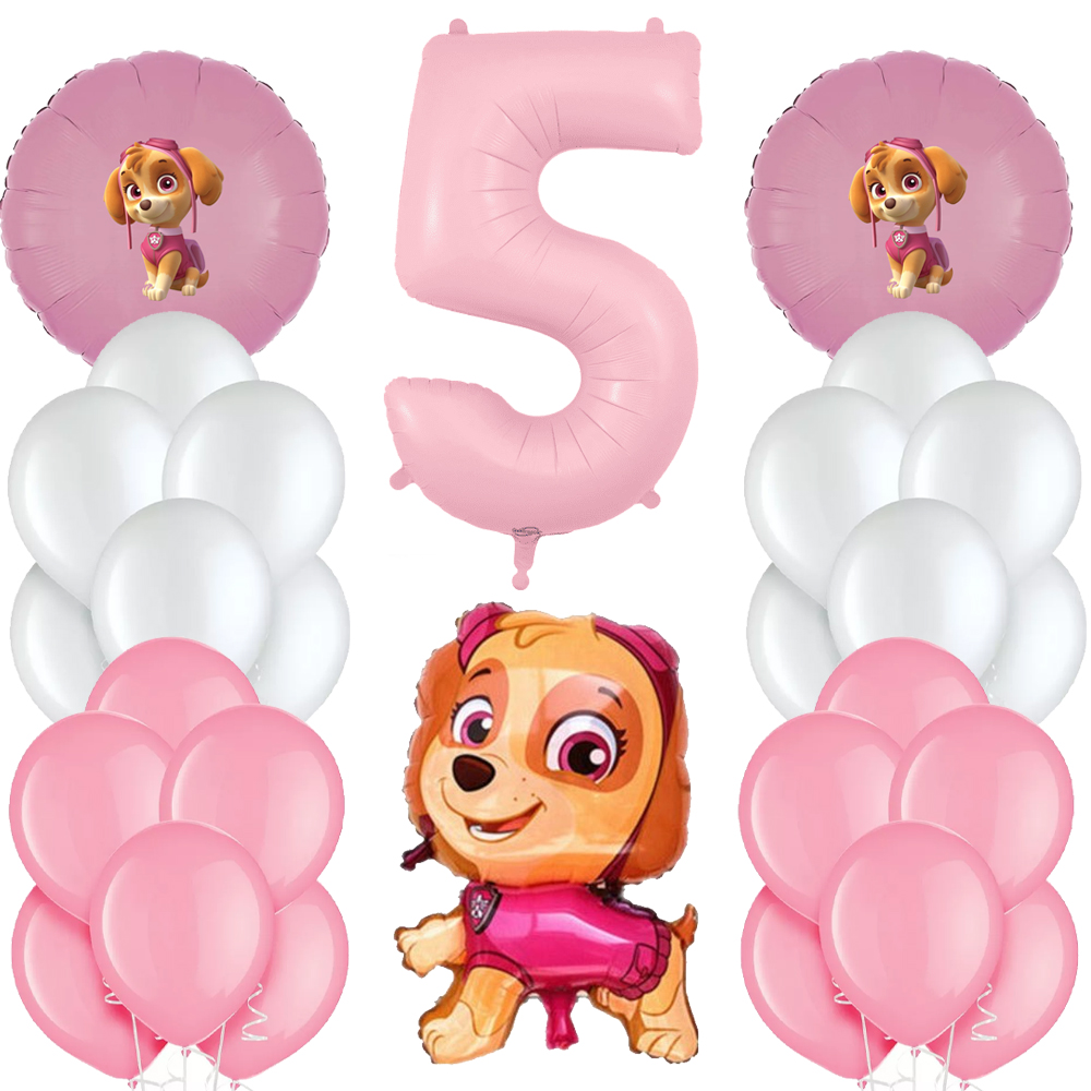 Paw Patrol Skye Konsepti Pink Doğum Günü Balon Seti