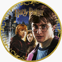 Harry Potter Doğum Günü Konsepti