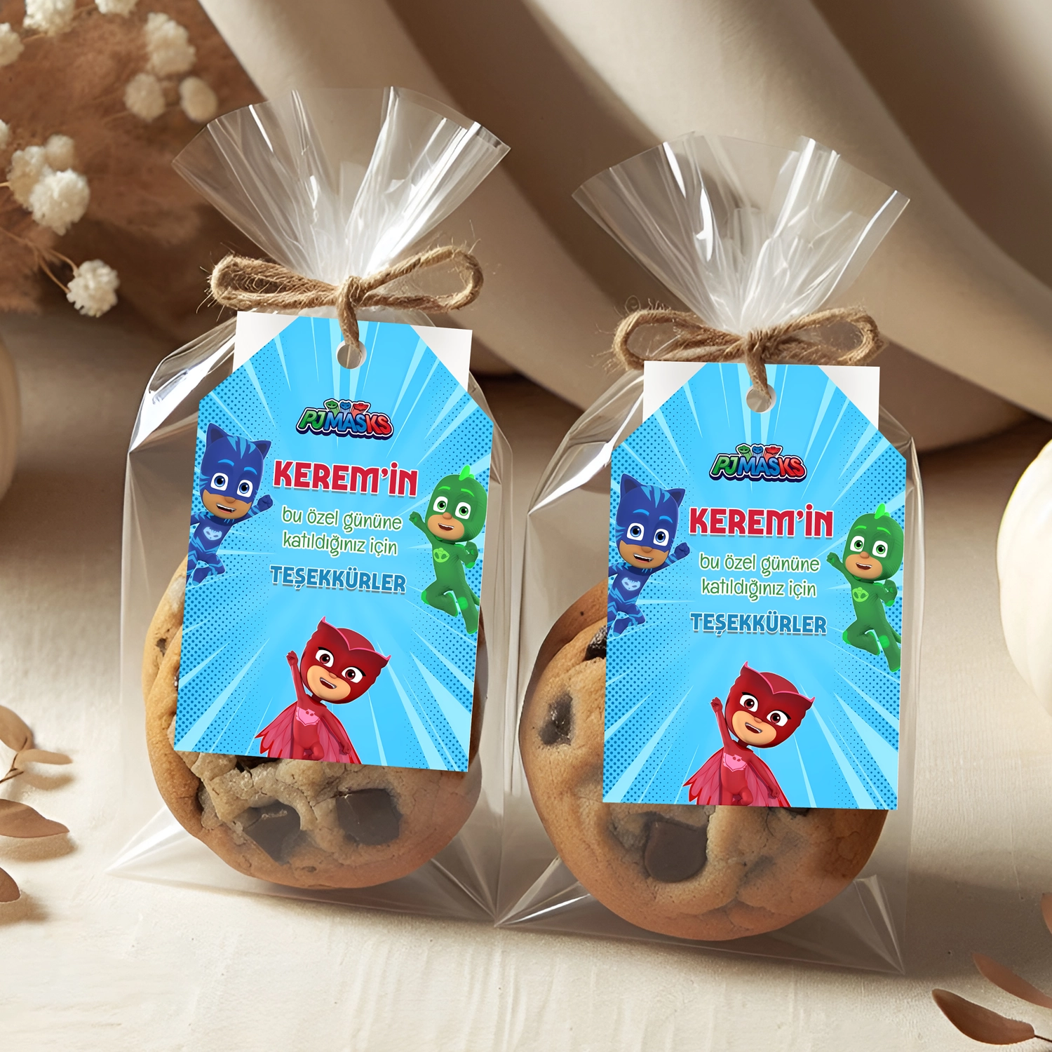Pijamaskeliler Temalı Kişiye Özel Teşekkür Kartı 8’li