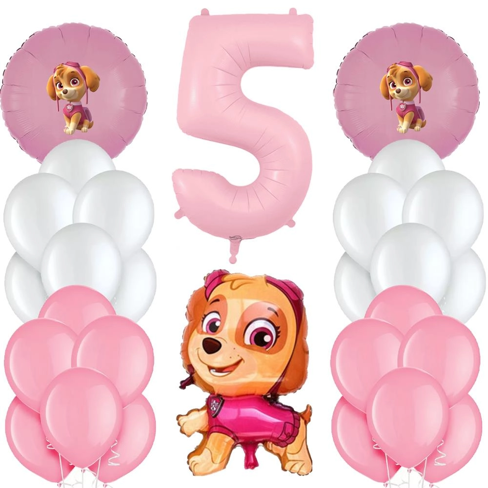 Paw Patrol Skye Pembe Doğum Günü Balon Seti
