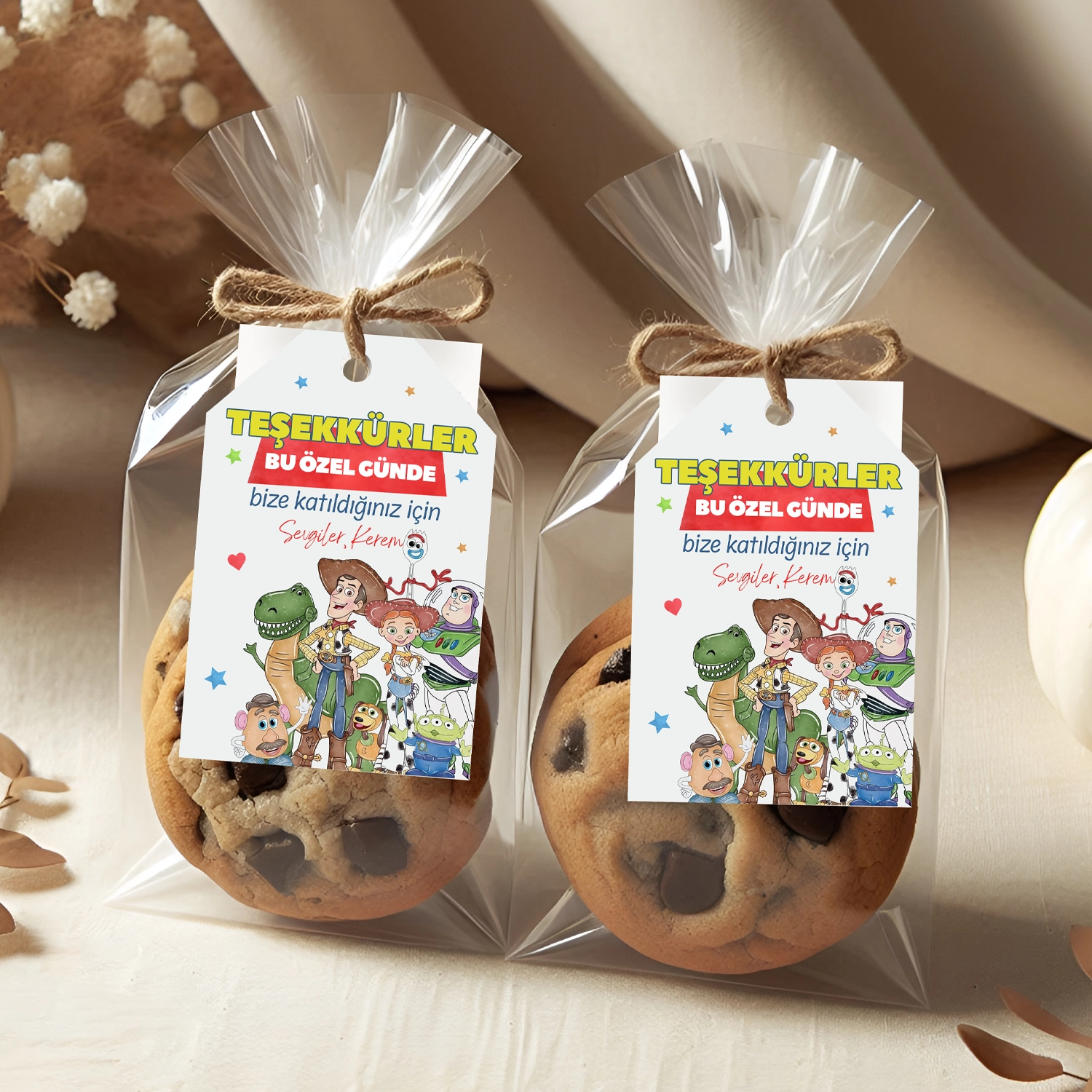Toy Story Temalı Kişiye Özel Teşekkür Kartı 8’li