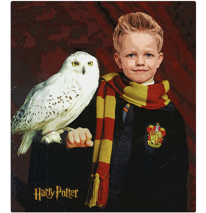 Harry Potter Poster - Kişiye Özel