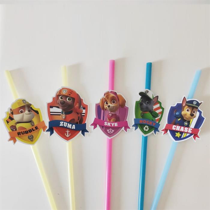 Paw Patrol Temalı Pipet 6 Adet