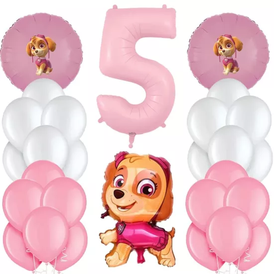 Paw Patrol Skye Pembe Doğum Günü Balon Seti