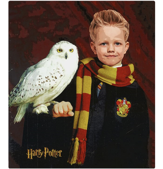 Harry Potter Kişiye Özel Portre Afişi