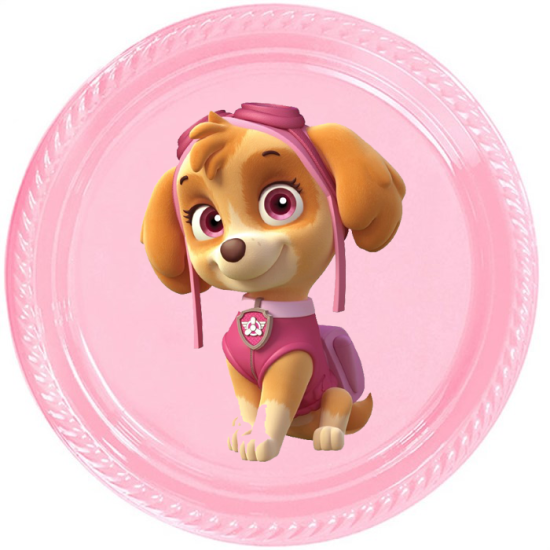 Paw Patrol Temalı Skye Stickerlı Tabak 5 Adet