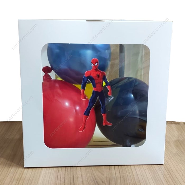 Spiderman Konseptli Şeffaf Kutu Seti 25 cm