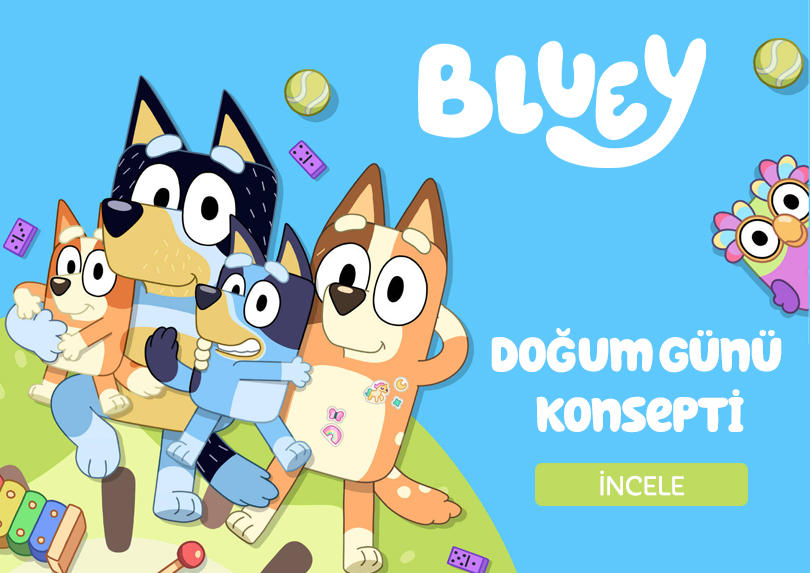 Bluey doğum günü konsepti